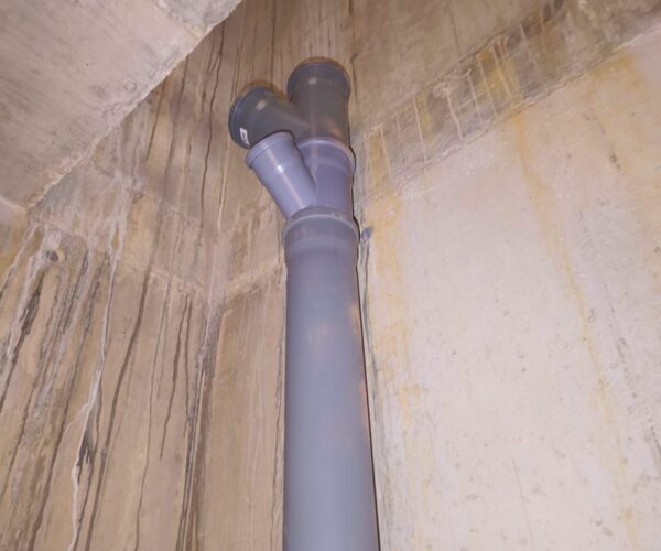 ds10