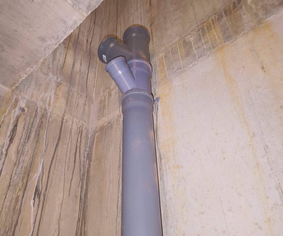 ds10